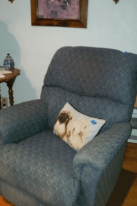 Chair and pillow